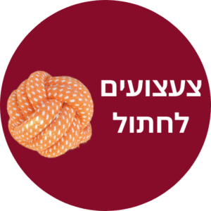 צעצועים חתולים