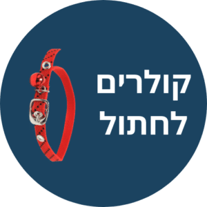 קולרים חתולים