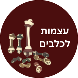 עצמות