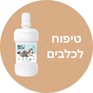 טיפוח לכלבים