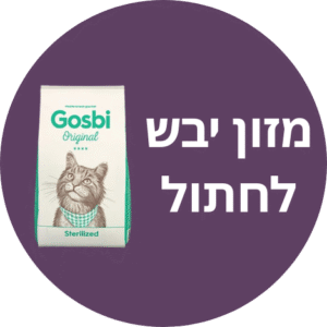 מזון יבש לחתולים