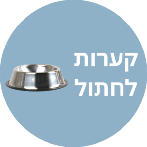 קערות חתולים