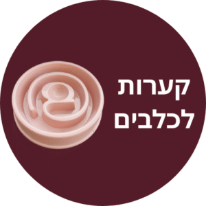 קערות לכלבים