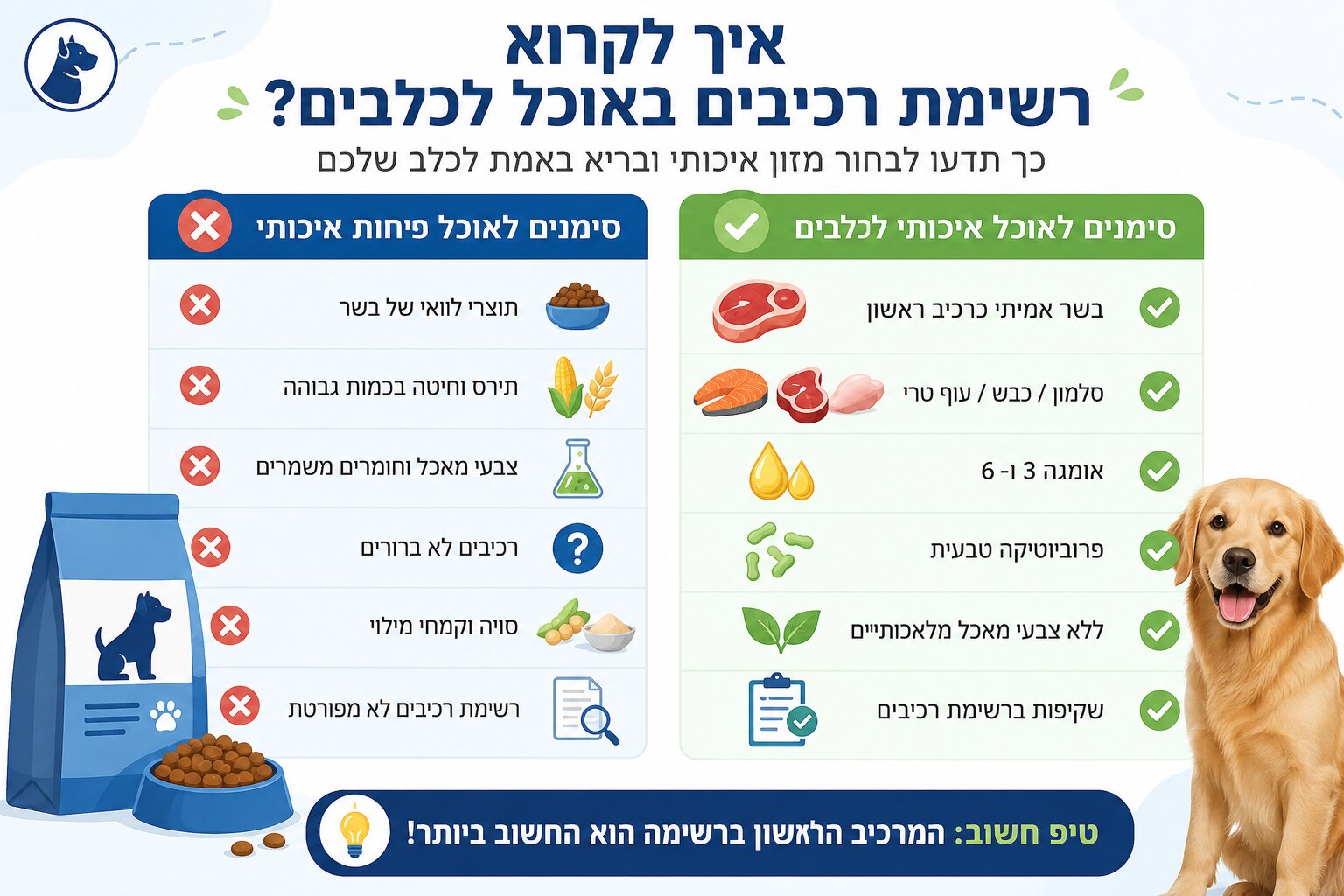 המדריך המלא: איך לבחור אוכל לכלבים מומלץ ובריא