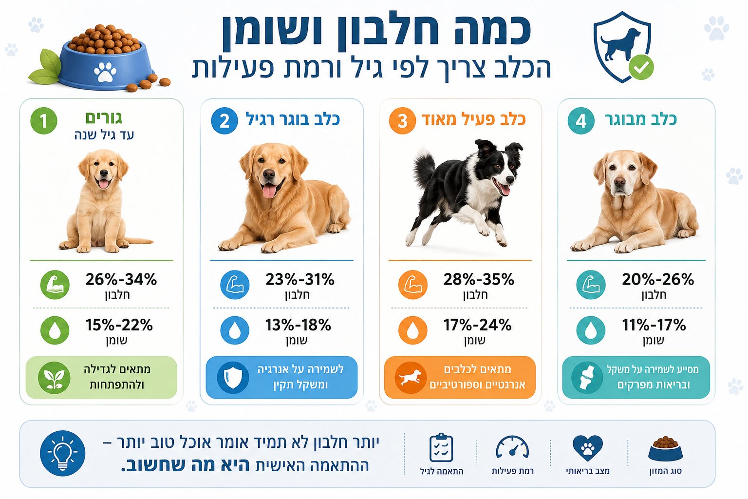 המדריך המלא: איך לבחור אוכל לכלבים מומלץ ובריא