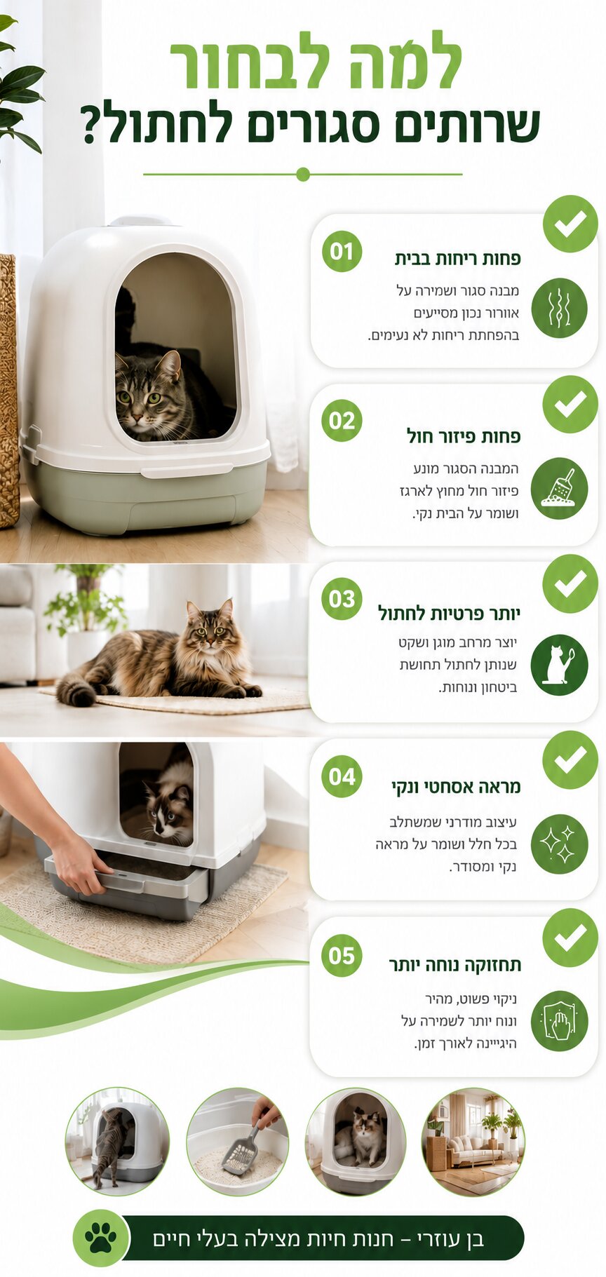 שירותים סגורים לחתול - המדריך המלא לבחירה נכונה ונוחות מקסימלית