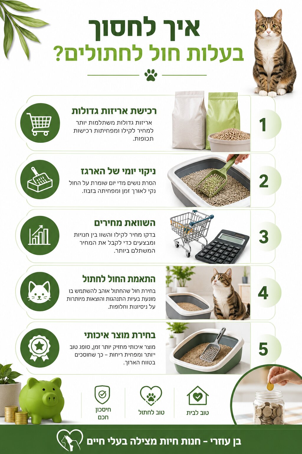 חול לחתולים מחיר - המדריך המלא להשוואת סוגים, עלויות ובחירה משתלמת